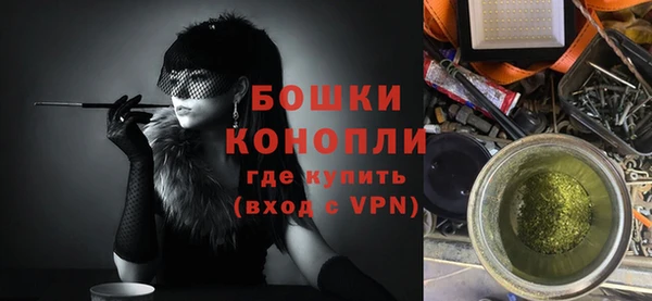 индика Бородино