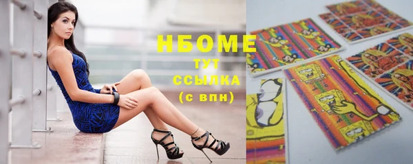 индика Бородино