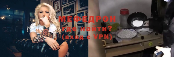 индика Бородино