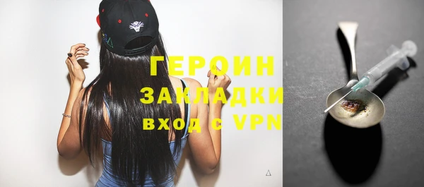 индика Бородино