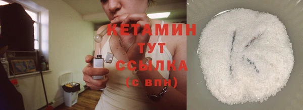 индика Бородино