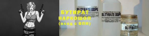 индика Бородино
