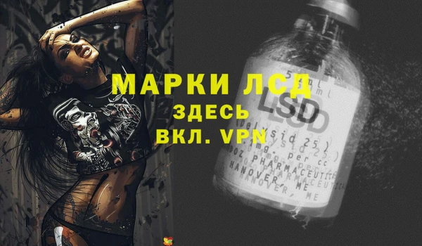 индика Бородино