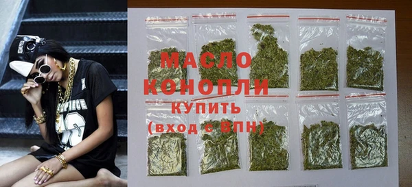 индика Бородино
