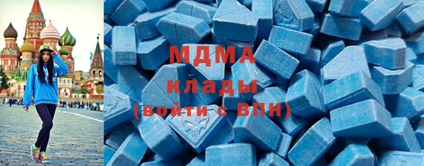 индика Бородино