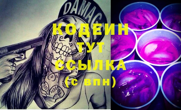 индика Бородино