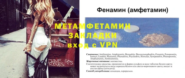 индика Бородино