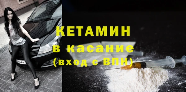 индика Бородино