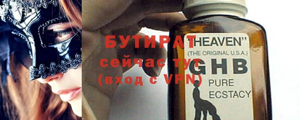 индика Бородино