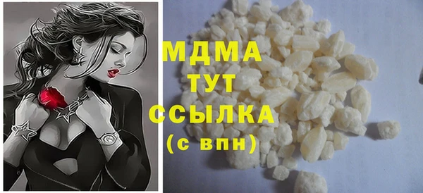 индика Бородино