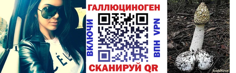 Купить где  Нерчинск  Галлюциногенные грибы Psilocybine cubensis 